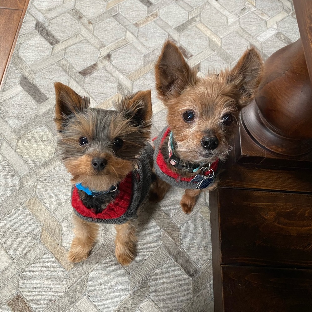 Meet your Posher, Ashley